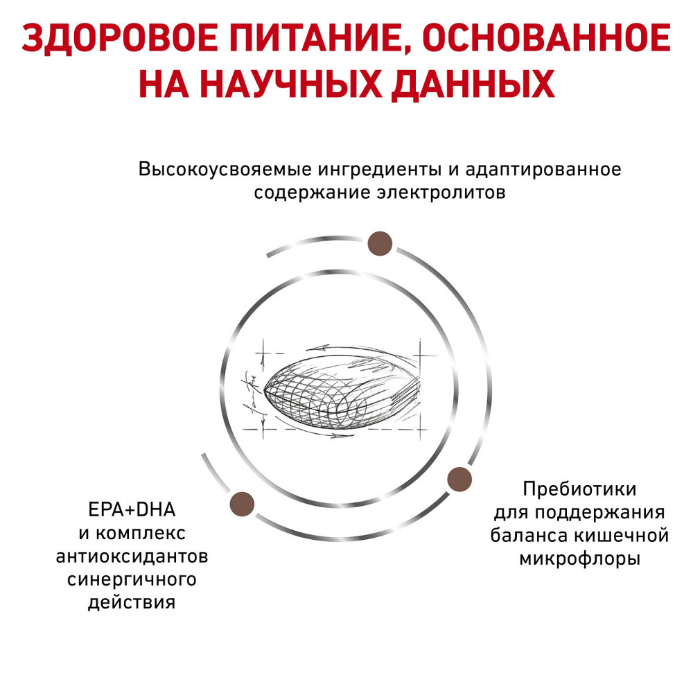 Royal Canin Gastrointestinal Low Fat (Рояв Канін Гастроінтензал Левів Фет) корм для собак для травлення 1.5 кг. Запоріжжя - фото 4