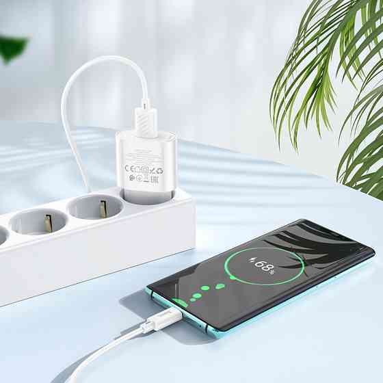 Зарядное устройство HOCO C109A Fighter с кабелем Type-C белое Киев