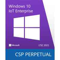 Операційна система Microsoft Windows 10 IoT Enterprise LTSC 2021 Perpetual, Commercial, OneTime (DG7GMGF0H3RD_0002) Киев