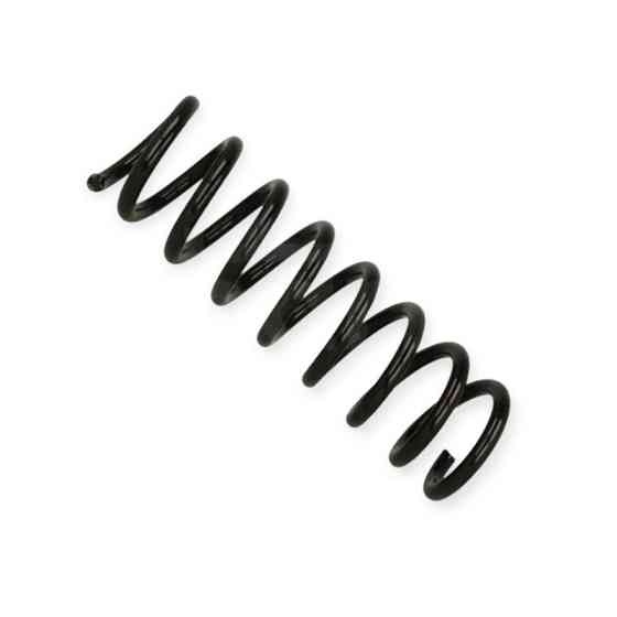 Пружина Mercedes-Benz C-class (W202) C180-240T, C220D (96-01) передняя Мукачево