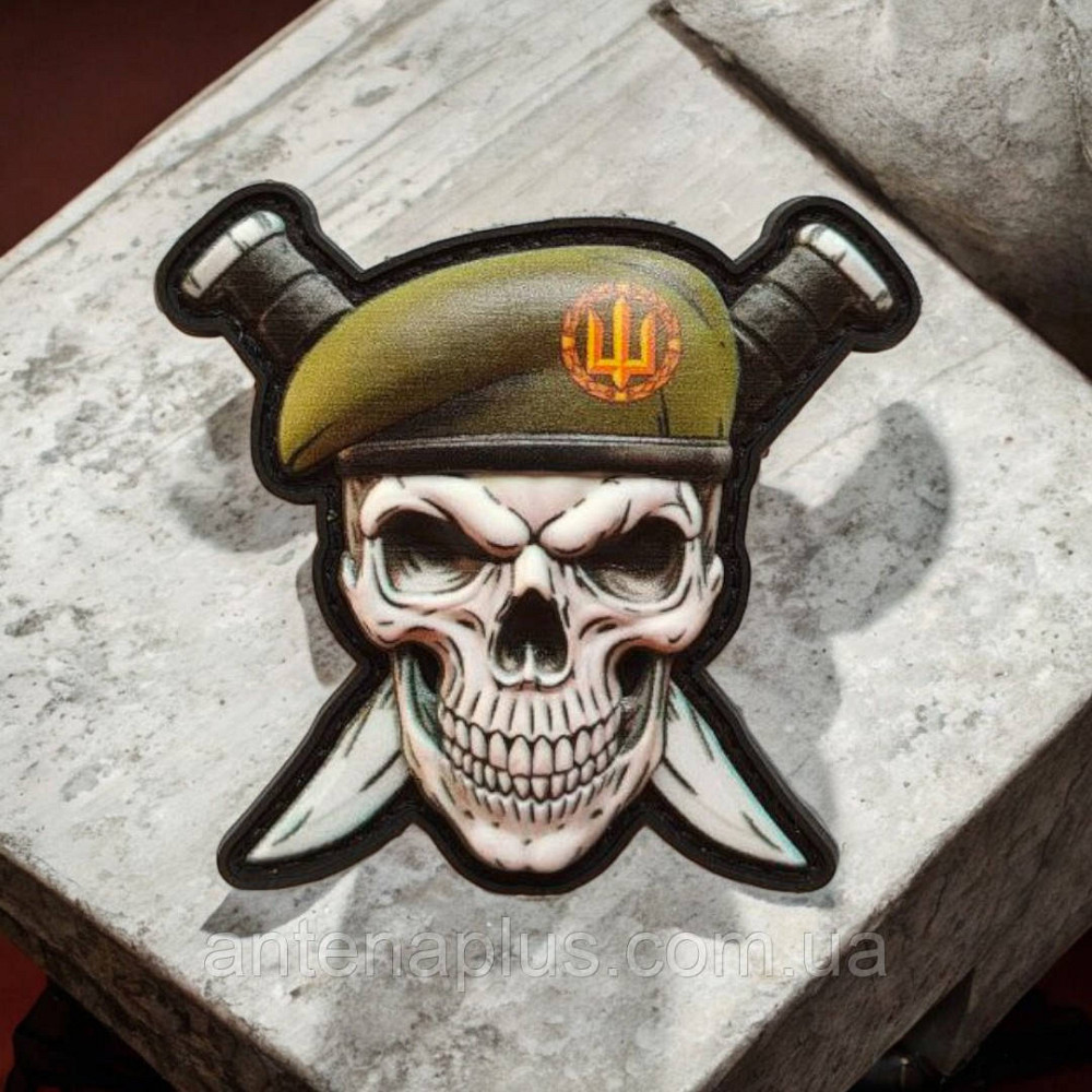 Череп в берете з ножами Сухопутные войска объемный шеврон / патч Киев - изображение 1