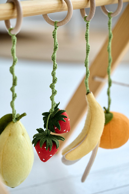 Детский тренажер WoollyFox 