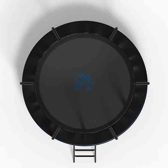 Батут з сіткою та драбинкою FitToSky 252 см Black Premium 48 пружин Київ
