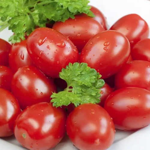 Томат Ксіко F1 кущовий 20шт Професійне насіння Житомир - фото 2