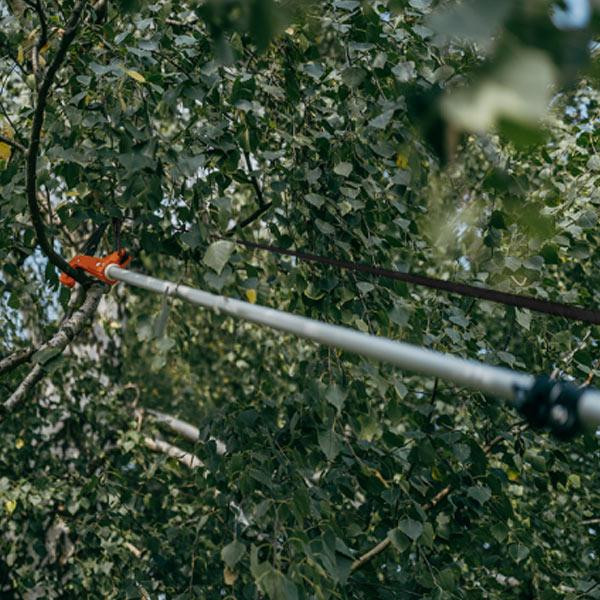 Пила з секатором без ручки, V-SERIES, KT-V1521HS Киев - изображение 4