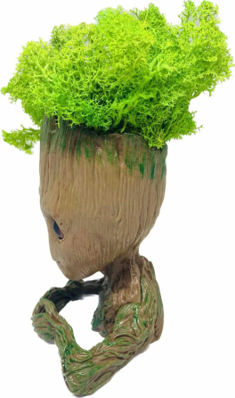 Кашпо горшочек со стабилизированным мхом Грут Groot G2 Винница