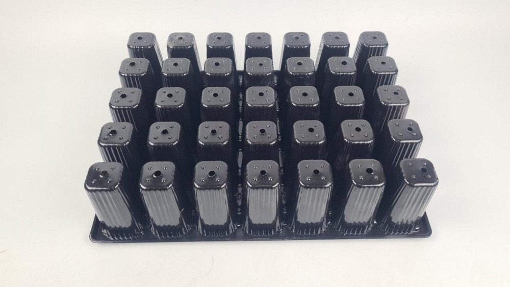 Кассета для рассады 43,5*32,5* 10 пластиковая  на 35 V-ячеек-175 см3(ячейка 55мм*55мм*95мм) (1 шт) Харьков - изображение 2