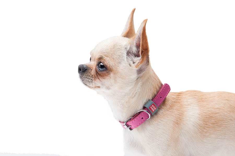 Нашийник для собак шкіряний WAUDOG Classic, Ш 12 мм, Дов 19-25 см рожевий Коломия - фото 7