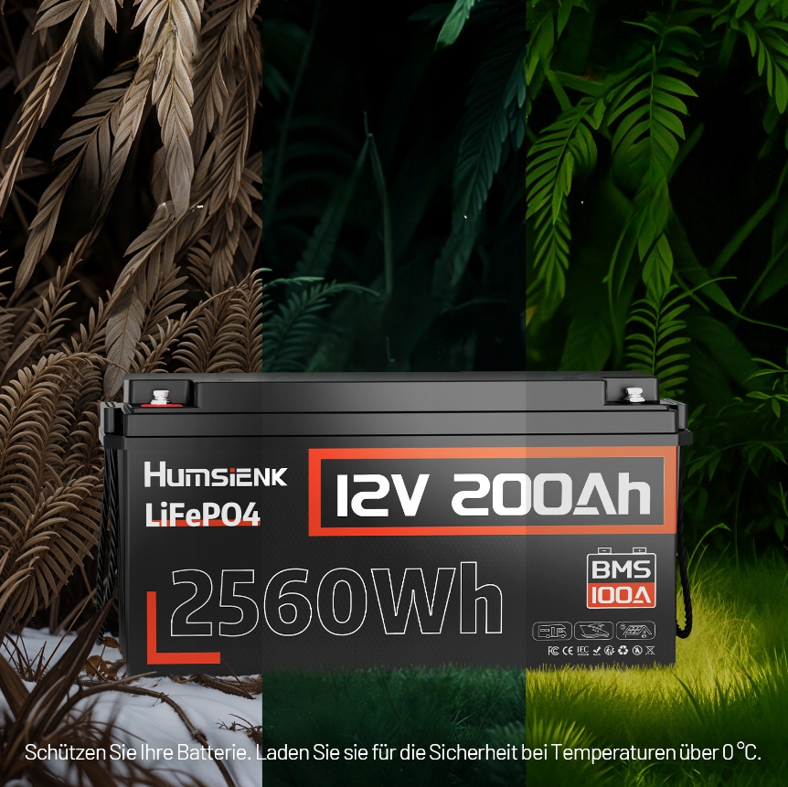 Аккумулятор LifePo4 200Ач 12V BMS 100А Humsienk (Польша) Киев - изображение 5