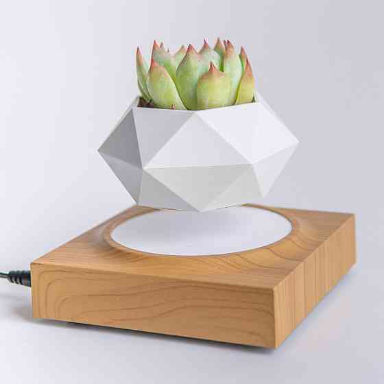 Магнитный левитационный горшок для растений HCNT Magnetic Levitating Pot M10-FP  Wood Grain Одесса