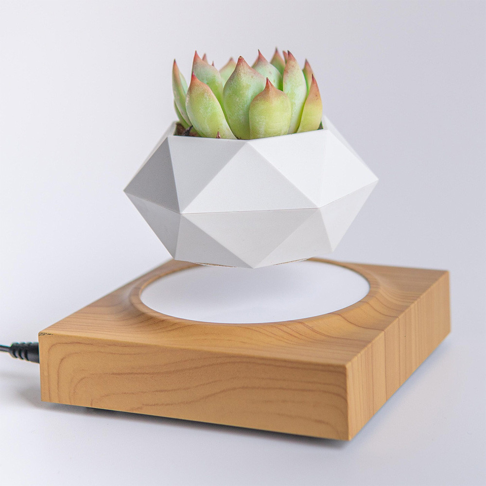 Магнитный левитационный горшок для растений HCNT Magnetic Levitating Pot M10-FP  Wood Grain Одесса - изображение 1