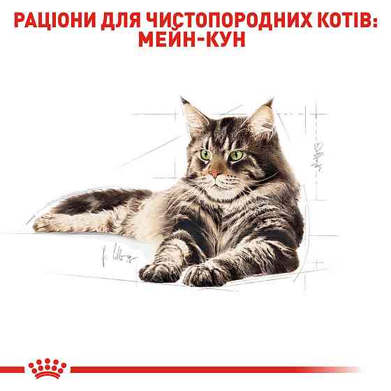 Корм для взрослых кошек ROYAL CANIN MAINECOON ADULT 2.0 кг Киев