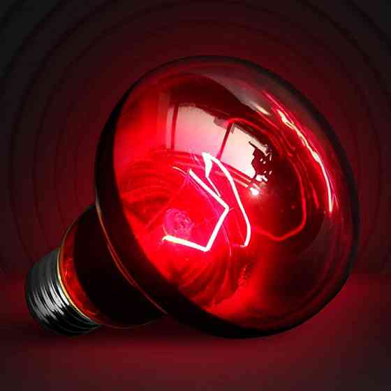 Инфракрасная лампа 100 Вт для террариумов и рептилий Киев