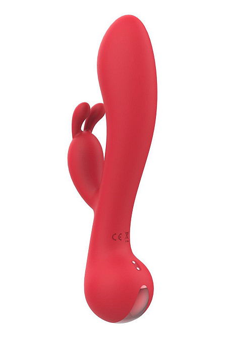 Вибратор кролик Dream Toys Amour Camille, красный Sex Aura Киев - изображение 3