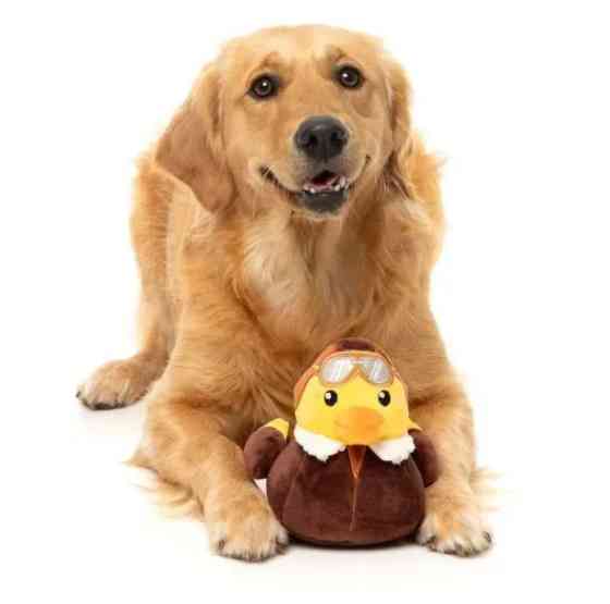 М'яка іграшка для собак FuzzYard Качечка Амелія Квакхарт L Луцк