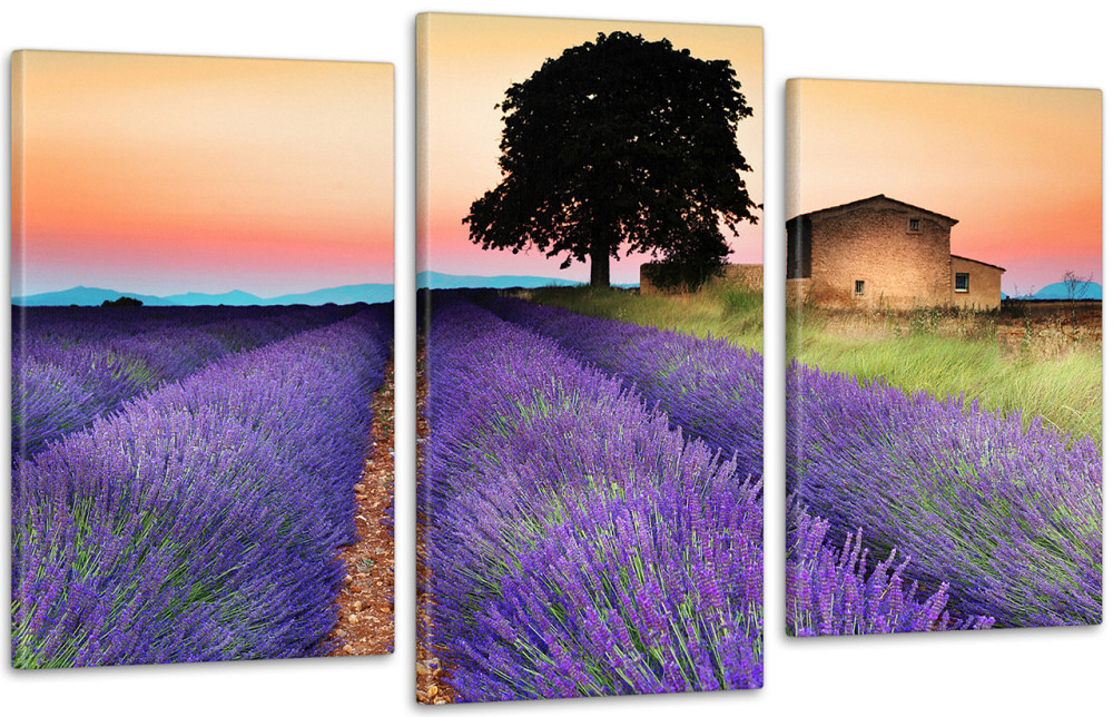 Модульна картина Будинок Лаванда Art-50_3 Київ - фото 1