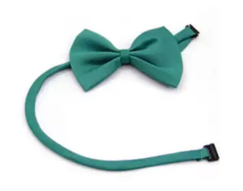 Бабочка для собаки или кота бирюзовая Киев - изображение 1