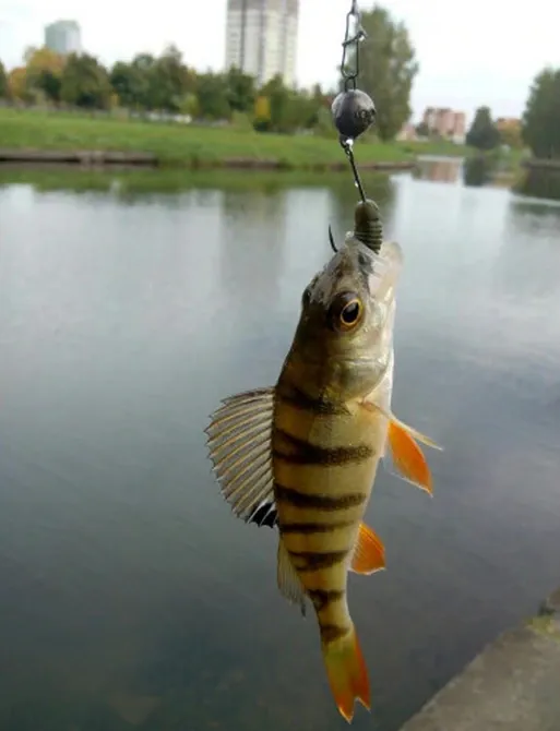 Твистера 10 шт мягкий силикон 5 см.1 грамм Киев - изображение 3