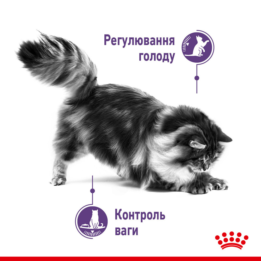 Корм для взрослых стерилизованных кошек ROYAL CANIN APPETITE CONTROL CARE 2.0 кг Киев - изображение 3