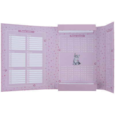 Папка для зошитів Kite В5 на гумці Studio Pets (SP25-210) Вінниця - фото 4