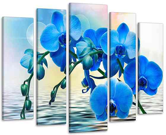 Модульная картина Цветы Орхидея Art-264_5 ( 80х118см ) 110x160 см Киев