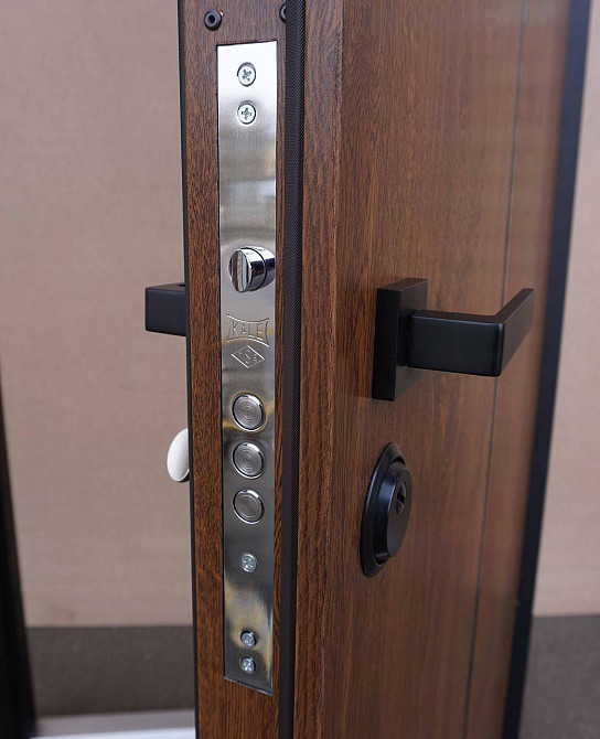 Дверь уличная модель LAMA BAU, дуб темный 860 Киев - изображение 3