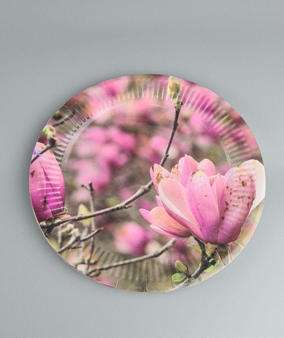 Тарілка паперова 23 см "No57 10 шт (1 пачка) Харків - фото 1