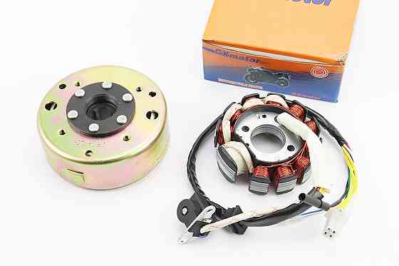 Магнето в зборі (11 котушок) Киев