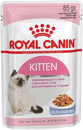 Royal Canin Kitten Jelly (Роял Канін Кіттен шматочки в желе) вологий корм для кошенят до 12 місяців 0.085 кг. х 12 шт. Запоріжжя