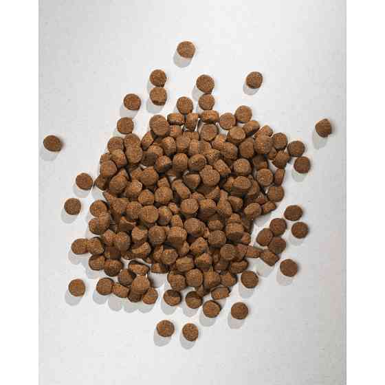 Корм сухий HalfHalf для дорослих собак середніх порід із яловичиною 2 кг Київ