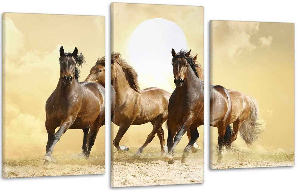 Модульная картина Лошади Art-119_3 100x150 см Киев - изображение 1