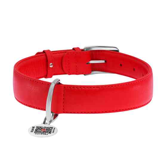 Нашийник для собак шкіряний WAUDOG Glamour з QR паспортом, без прикрас, XL, Ш 35 мм, Дов 46-60 Коломия