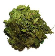 Смородина чорна (лист), 100г. Київ - фото 1