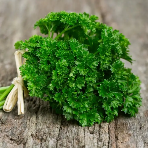 Петрушка кучерява 3гр Смачний Житомир