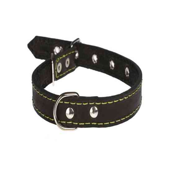 Нашийник 211 20мм "Класик" шкіра Вінниця