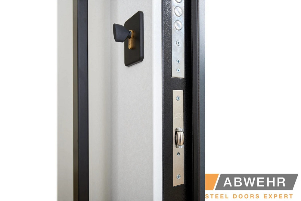 Двери уличные, модель LP-5 Queen ТЕРМОРАЗРЫВ Киев - изображение 2