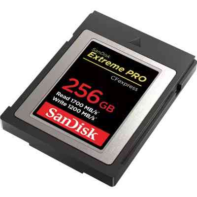 Карта памяти SanDisk 256GB CFexpress Extreme Pro (SDCFE-256G-GN4NN) Винница