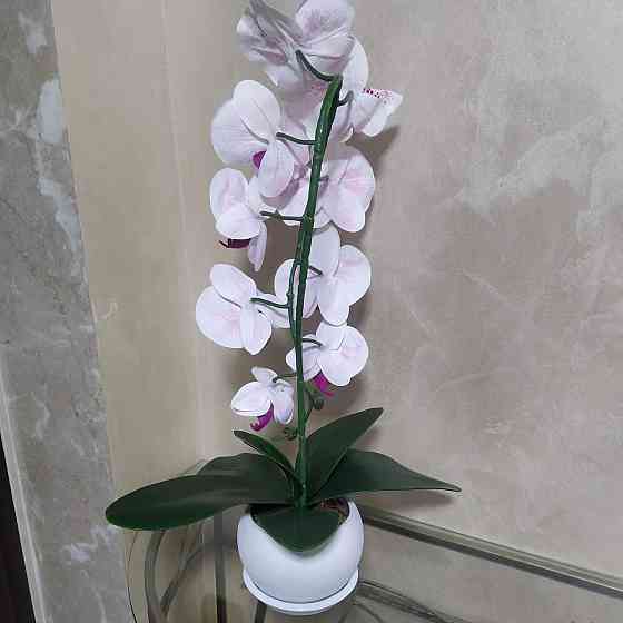 Штучна латексна орхідея VIP у білому керамічному кашпо на одну гілку біло-бузкова Дніпро