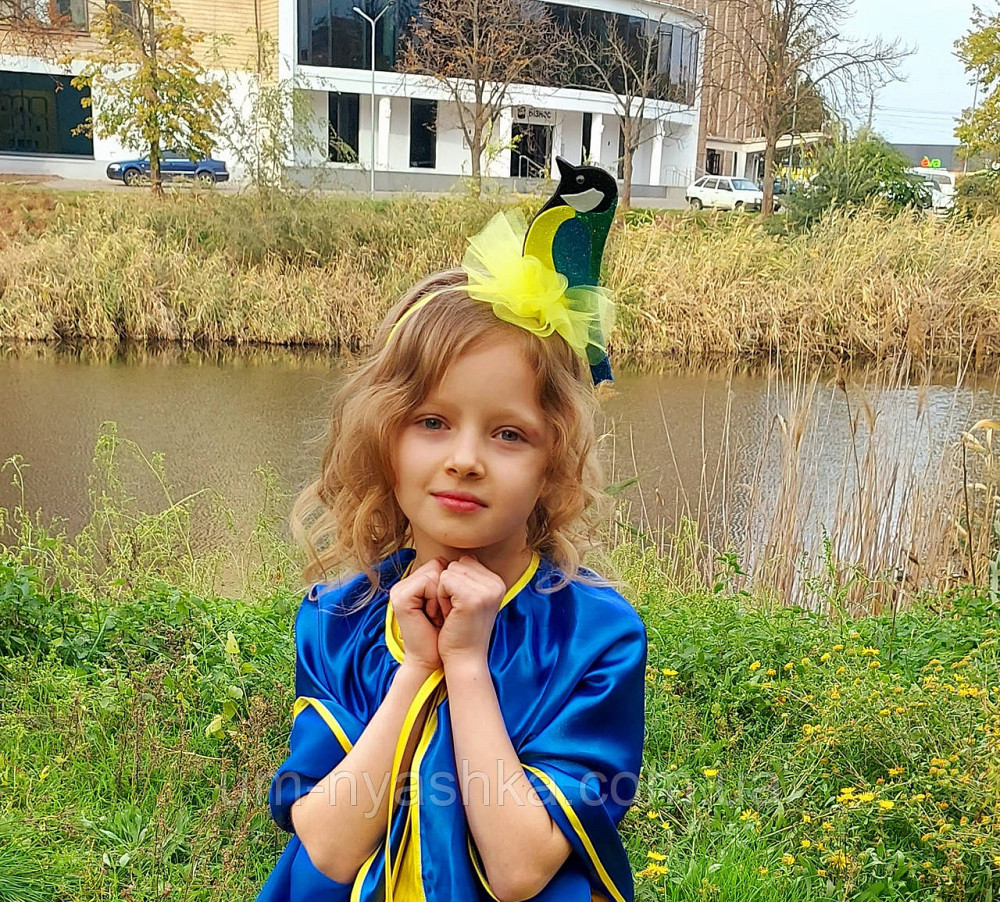 Обруч синички Синичка Кривой Рог - изображение 1