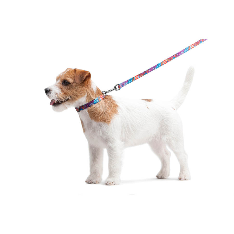 Нашийник для собак нейлоновий WAUDOG Nylon з QR паспортом, малюнок "Літо", пластиковий фастекс, Коломыя - изображение 2