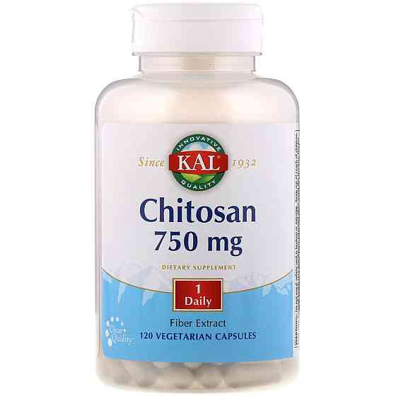 Хітозан (Chitosan) 750 мг 120 капсул Київ