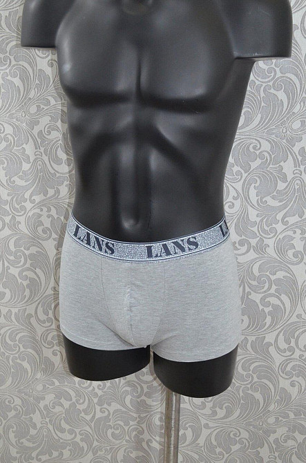 Трусы мужские шорты Lans 07/034 Киев - изображение 5