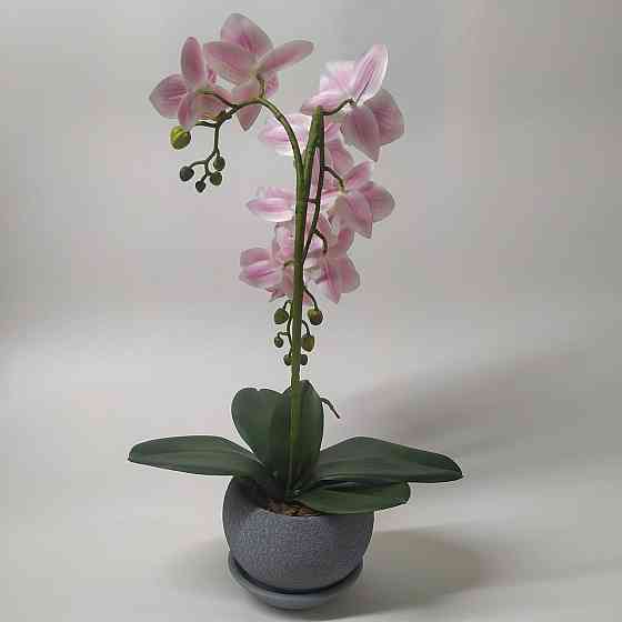 Штучна латексна міні орхідея преміум у сірому керамічному кашпо на дві гілки біло-рожева. Дніпро