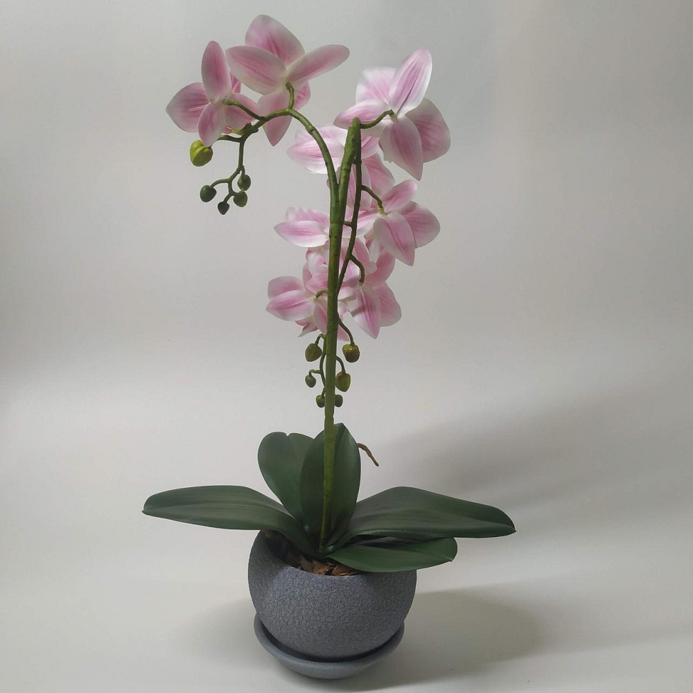 Штучна латексна міні орхідея преміум у сірому керамічному кашпо на дві гілки біло-рожева. Дніпро - фото 5