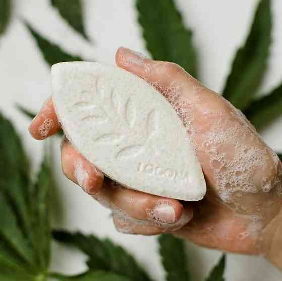 БИО-Шампунь твердый для блеска и ускорения роста волос Конопля и Бузина Logona 60 г Киев