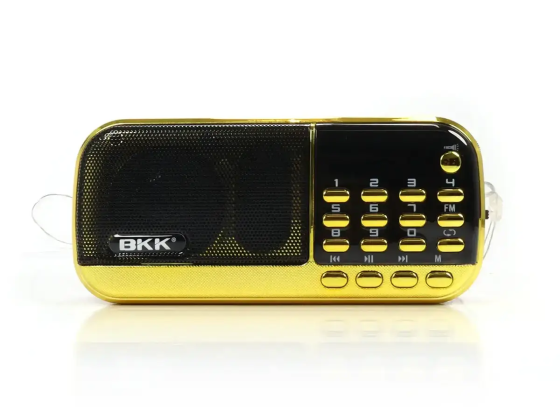 Портативний радіоприймач BKK 12 Вт з USB/MP3, AUX 3.5 мм, micro-USB DC5V, IPX5, акумулятор 10000 мАг Одеса
