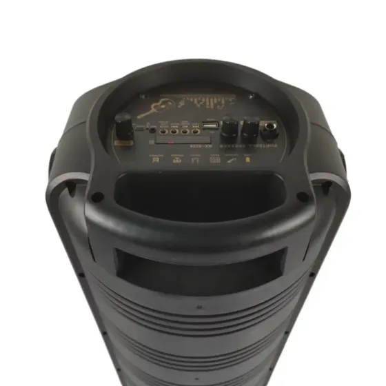 Портативна Bluetooth колонка RX-8228 з LED підсвічуванням, FM, USB, TF, TWS, мікрофоном, 2x8" динамі Київ