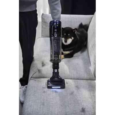 Пылесос Rowenta RH9C71E0 Винница