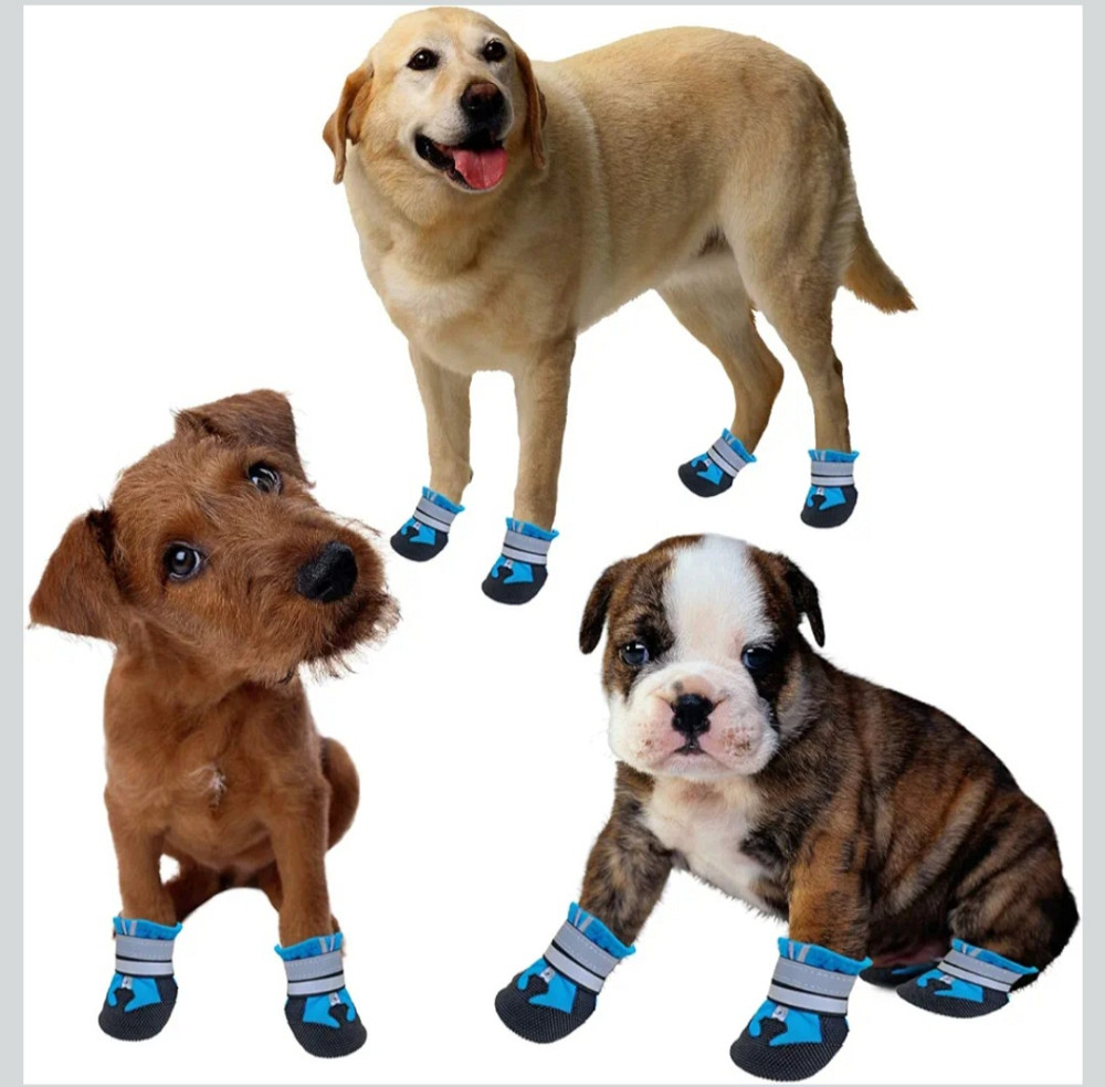 Водонепроникні шкарпетки для собак розмір S Луцьк - фото 10