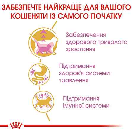 Корм для котят ROYAL CANIN MAINECOON KITTEN 2.0 кг Киев